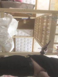 【小狐狸8888探花】，探探勾搭的良家离异小少妇，深夜相会，像小两口一样调情聊天，浓情蜜意对白有趣